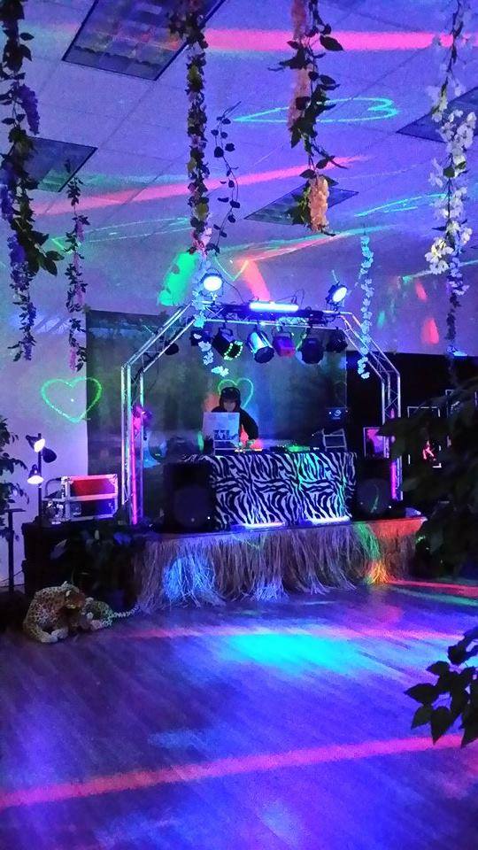 Jungle Themed Party...very popular for Birthdays and Small Proms.